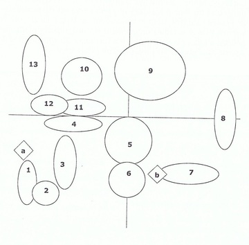 Représentation graphique de l'emplacement des familles biochimiques majeures dans les HE selonle Bio-electronigramme de Louis-Claude Vincent.